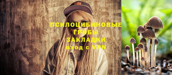 эйфоретик Арсеньев