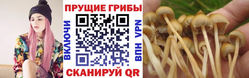 Галлюциногенные грибы MAGIC MUSHROOMS  Медвежьегорск 
